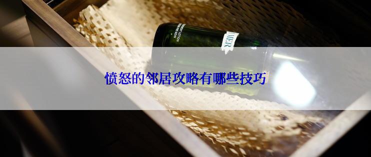 愤怒的邻居攻略有哪些技巧