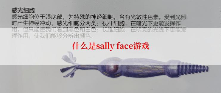 什么是sally face游戏