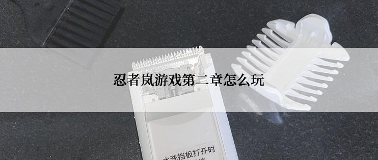 忍者岚游戏第二章怎么玩