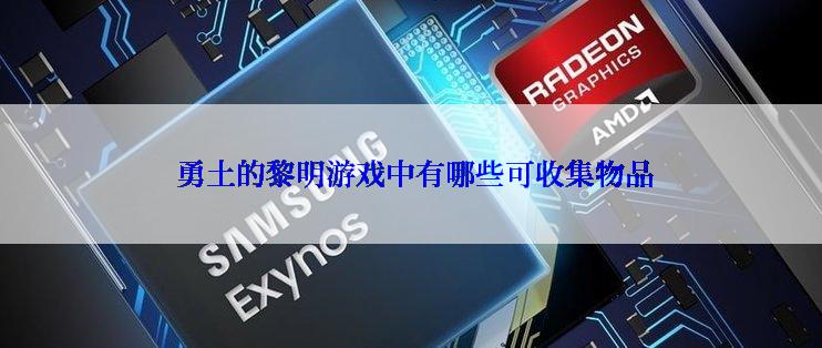  勇土的黎明游戏中有哪些可收集物品