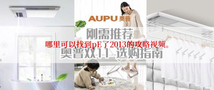 哪里可以找到pE了2013的攻略视频。