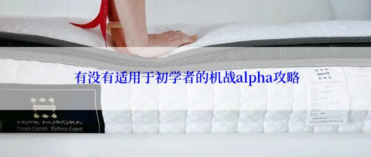  有没有适用于初学者的机战alpha攻略