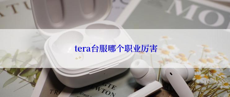  tera台服哪个职业厉害