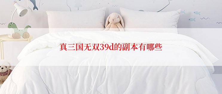 真三国无双39d的副本有哪些