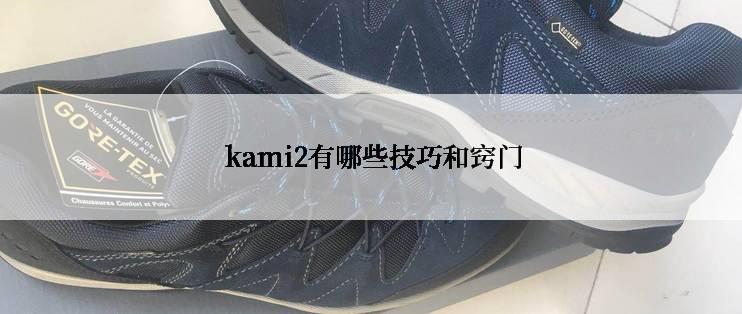  kami2有哪些技巧和窍门