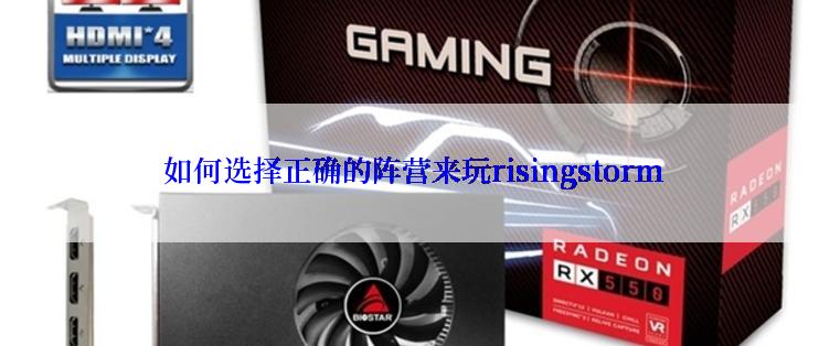  如何选择正确的阵营来玩risingstorm