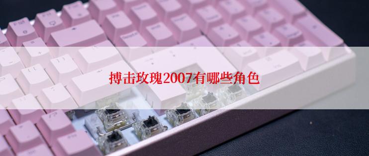 搏击玫瑰2007有哪些角色