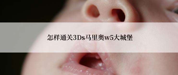  怎样通关3Ds马里奥w5大城堡