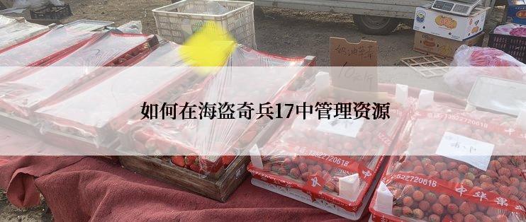  如何在海盗奇兵17中管理资源