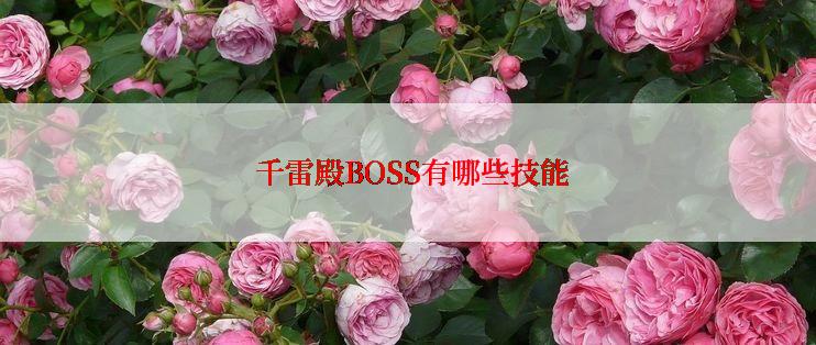  千雷殿BOSS有哪些技能