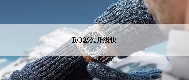 RO怎么升级快