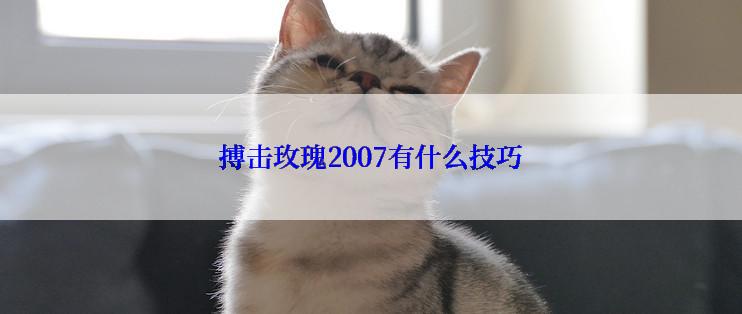 搏击玫瑰2007有什么技巧