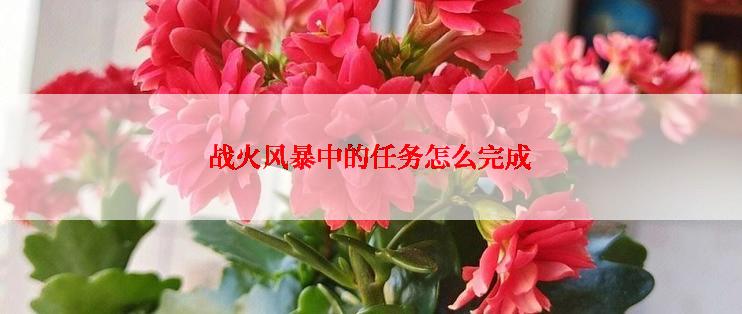 战火风暴中的任务怎么完成