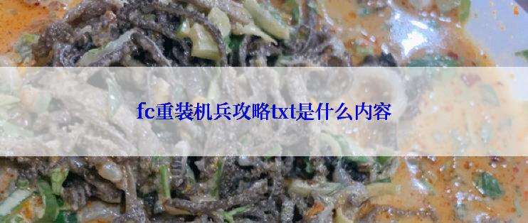 fc重装机兵攻略txt是什么内容