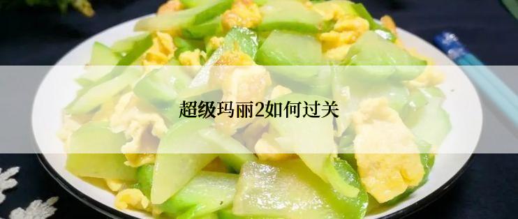 超级玛丽2如何过关