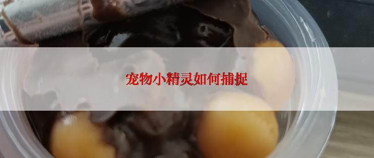 宠物小精灵如何捕捉