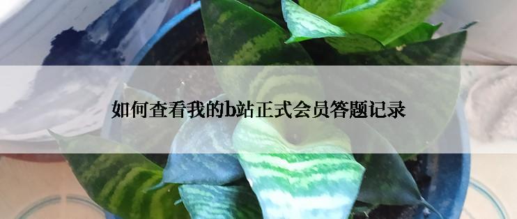 如何查看我的b站正式会员答题记录