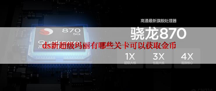  ds新超级玛丽有哪些关卡可以获取金币