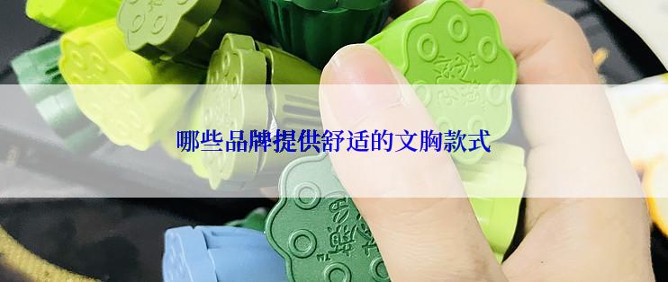 哪些品牌提供舒适的文胸款式