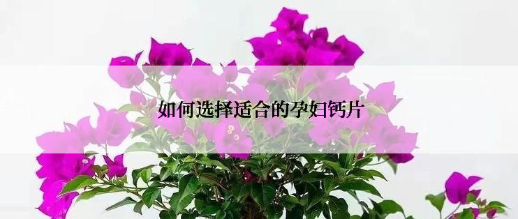  如何选择适合的孕妇钙片