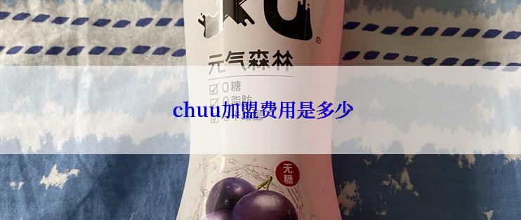  chuu加盟费用是多少