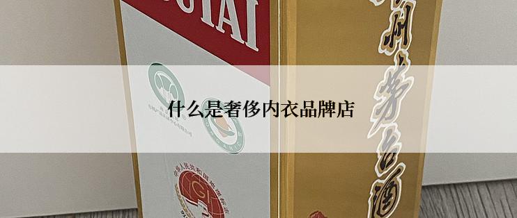  什么是奢侈内衣品牌店