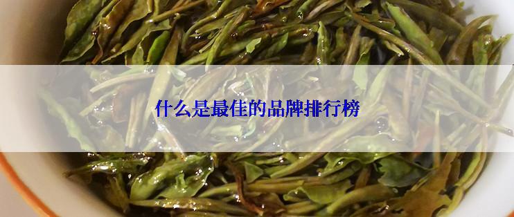 什么是最佳的品牌排行榜