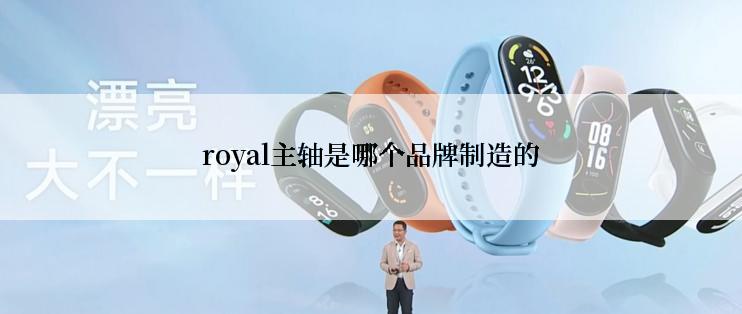 royal主轴是哪个品牌制造的