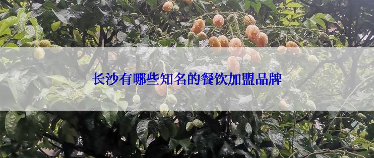 长沙有哪些知名的餐饮加盟品牌