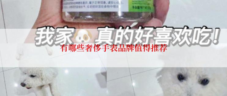 有哪些奢侈手表品牌值得推荐