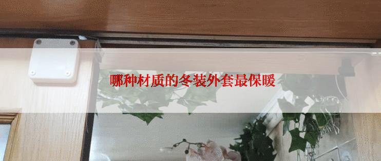  哪种材质的冬装外套最保暖