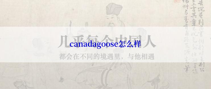 canadagoose怎么样