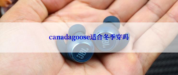 canadagoose适合冬季穿吗