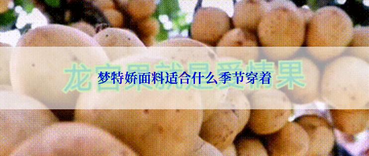 梦特娇面料适合什么季节穿着