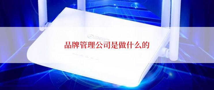 品牌管理公司是做什么的