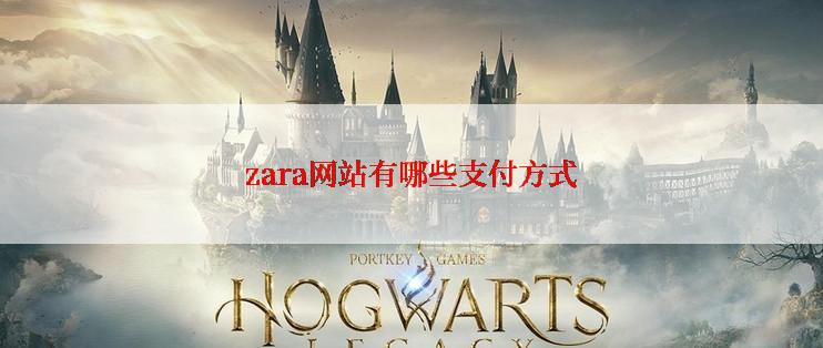 zara网站有哪些支付方式