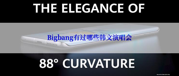 Bigbang有过哪些韩文演唱会