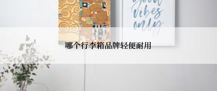 哪个行李箱品牌轻便耐用