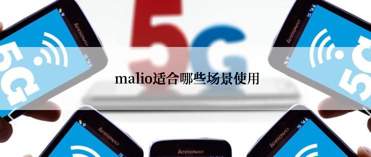  malio适合哪些场景使用