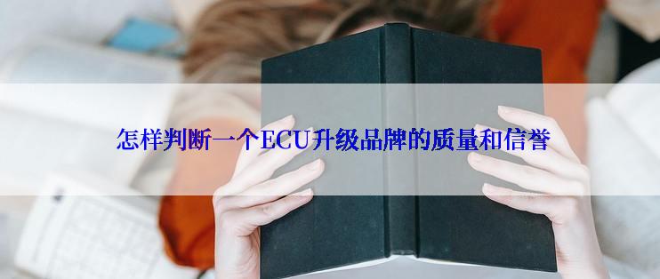  怎样判断一个ECU升级品牌的质量和信誉