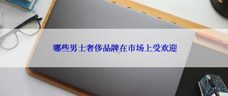  哪些男士奢侈品牌在市场上受欢迎