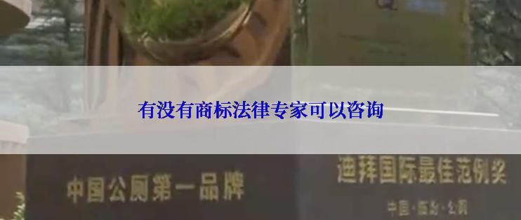 有没有商标法律专家可以咨询