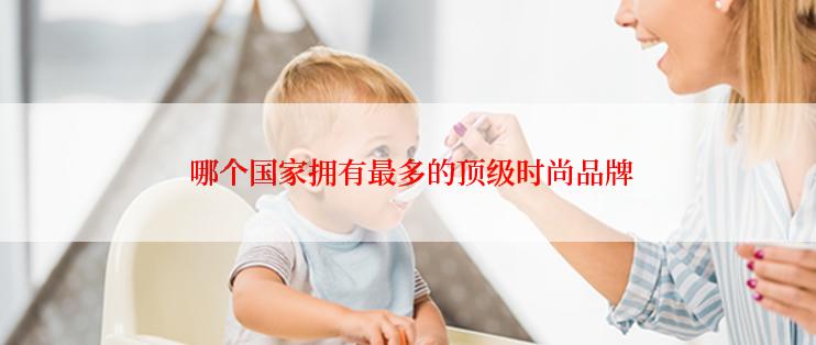  哪个国家拥有最多的顶级时尚品牌