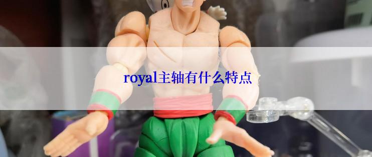  royal主轴有什么特点