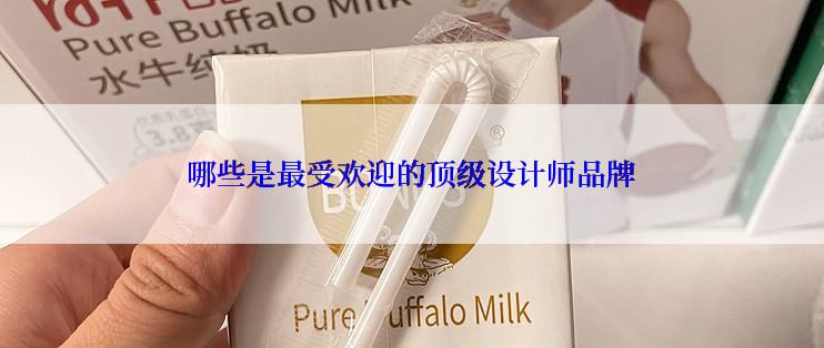 哪些是最受欢迎的顶级设计师品牌