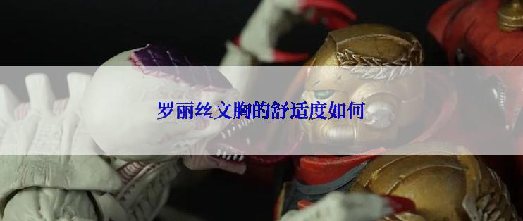 罗丽丝文胸的舒适度如何