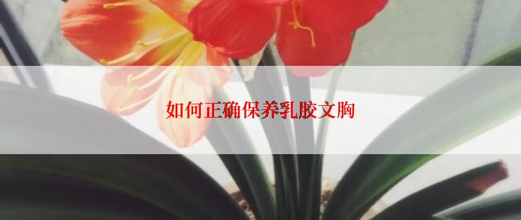 如何正确保养乳胶文胸