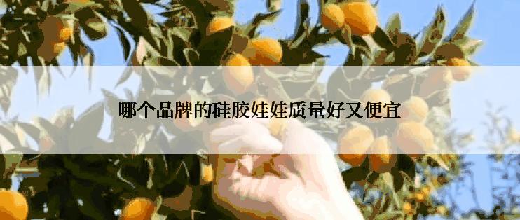 哪个品牌的硅胶娃娃质量好又便宜