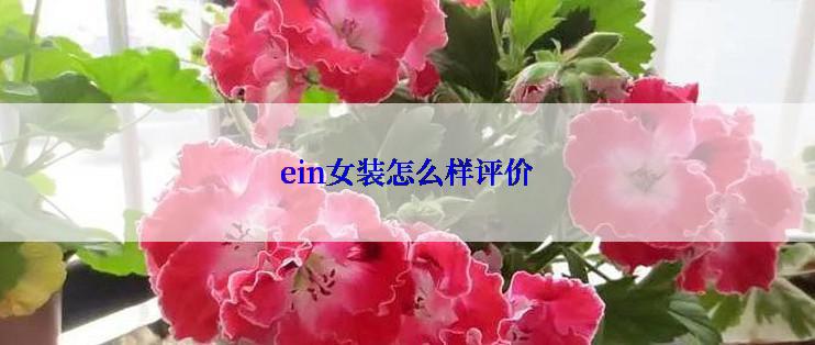 ein女装怎么样评价