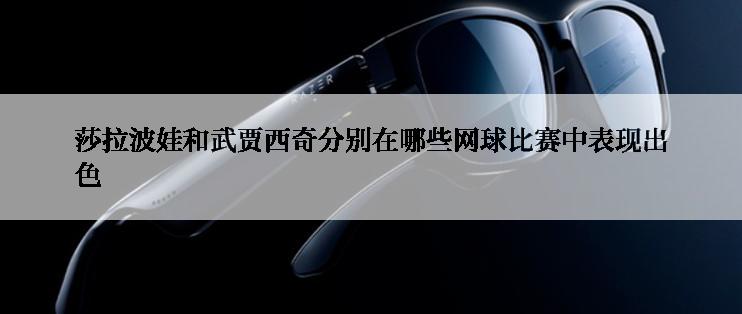 莎拉波娃和武贾西奇分别在哪些网球比赛中表现出色